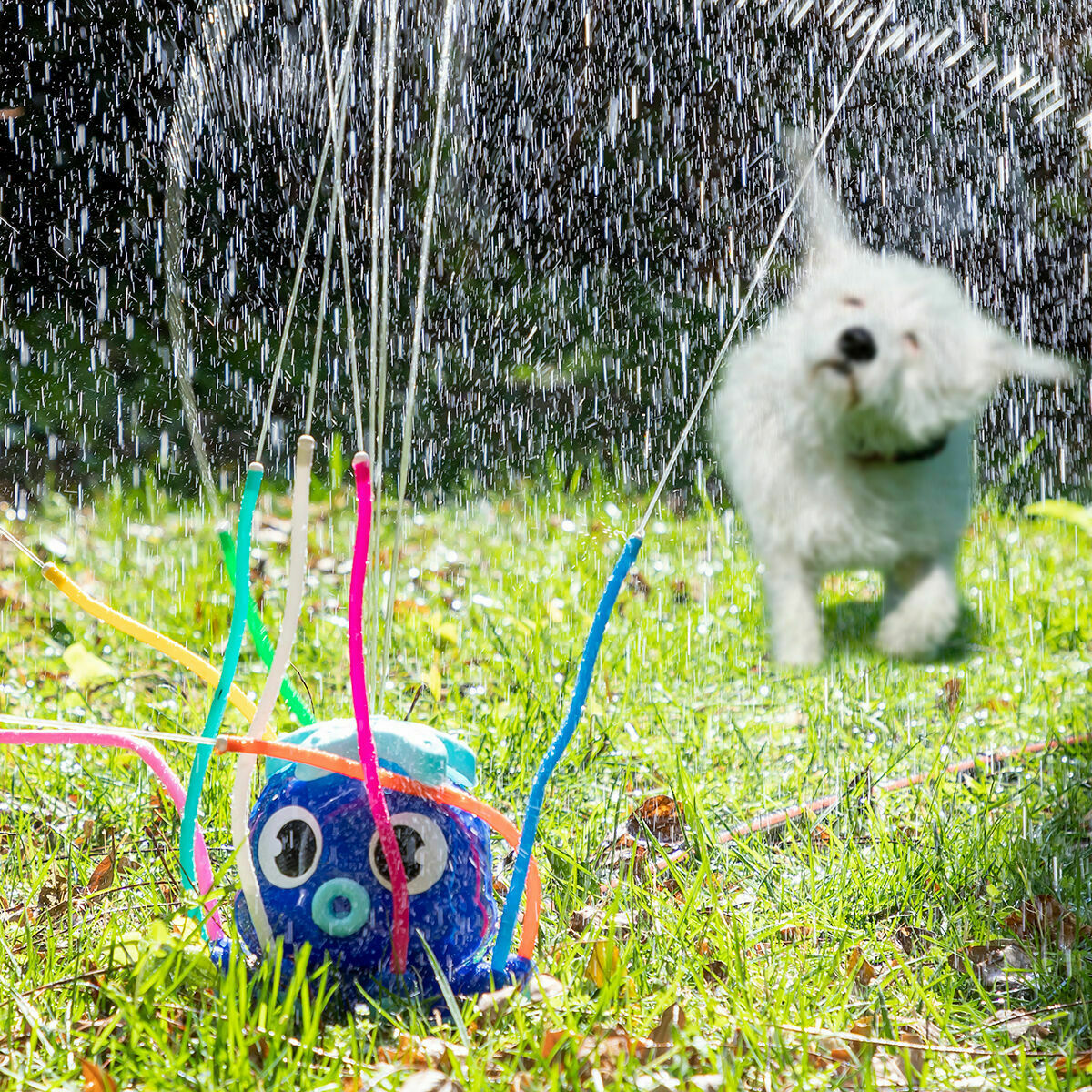 Pack Giant Inflatable Bumper Bubble Ball and Water Sprinkler and Sprayer Toy InnovaGoods-26